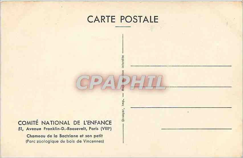 CPA Avenue Franklin D Roosevelt Paris Chameau de la Bactriane et son petit  — Rückseite