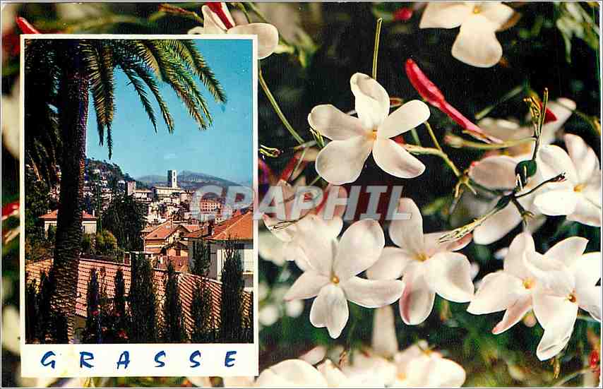 CPA Cote d'Azur Carrefour Mondial du Tourisme Grasse Cite des Fleurs et des Parfums Le jasmin 