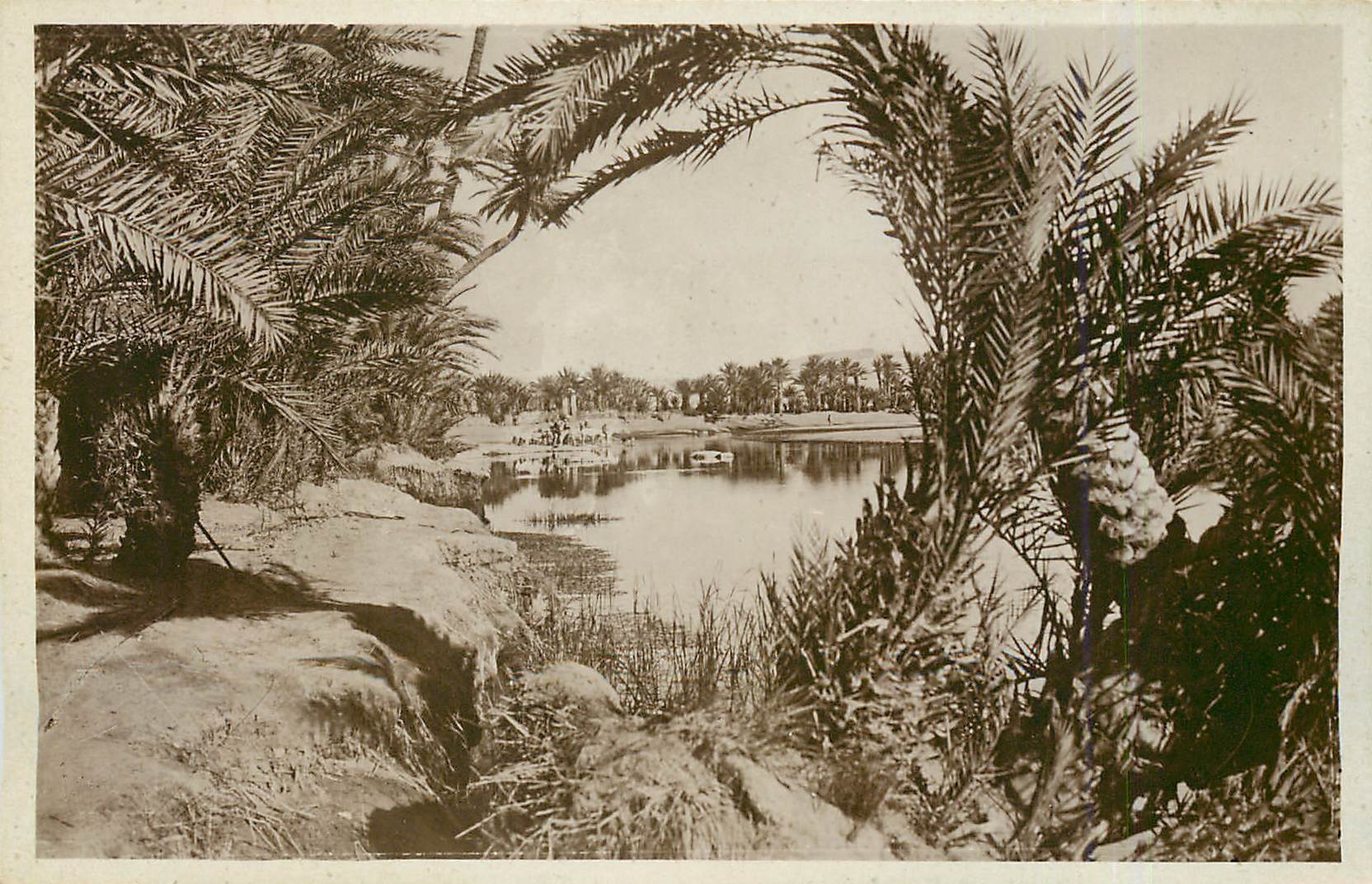 CPA Scenes et Types Delicieux coin d'Oasis 