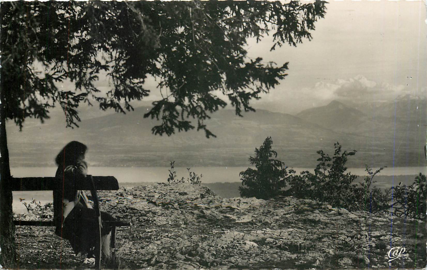 CPM Divonne les Bains Panorama sur le Lac et le Mont Blanc 
