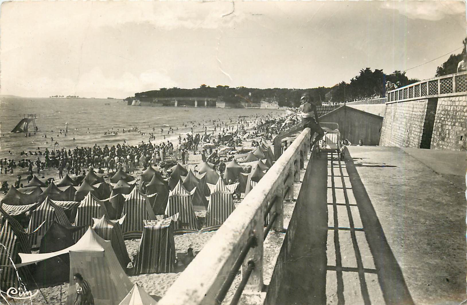 CPA Fouras Char Mar L'heure du Bain sur la grande Plage 