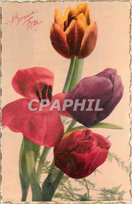 CPA Bonne Fete Fleurs