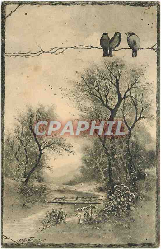 CPA Oiseaux