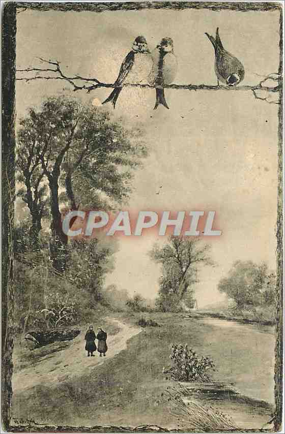 CPA Oiseaux