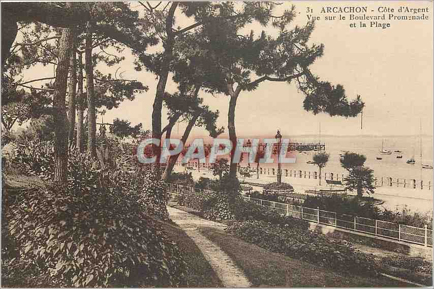 CPA Arcachon Cote d'Argent Vue sur le Boulevard Promenade et la Plage 