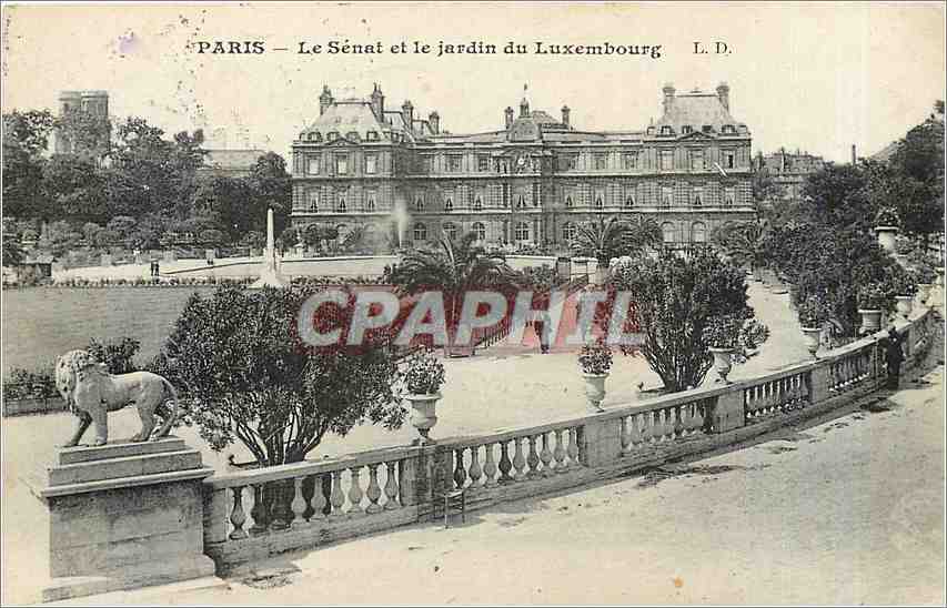 CPA Paris Le Senat et le jardin du Luxembourg Lion