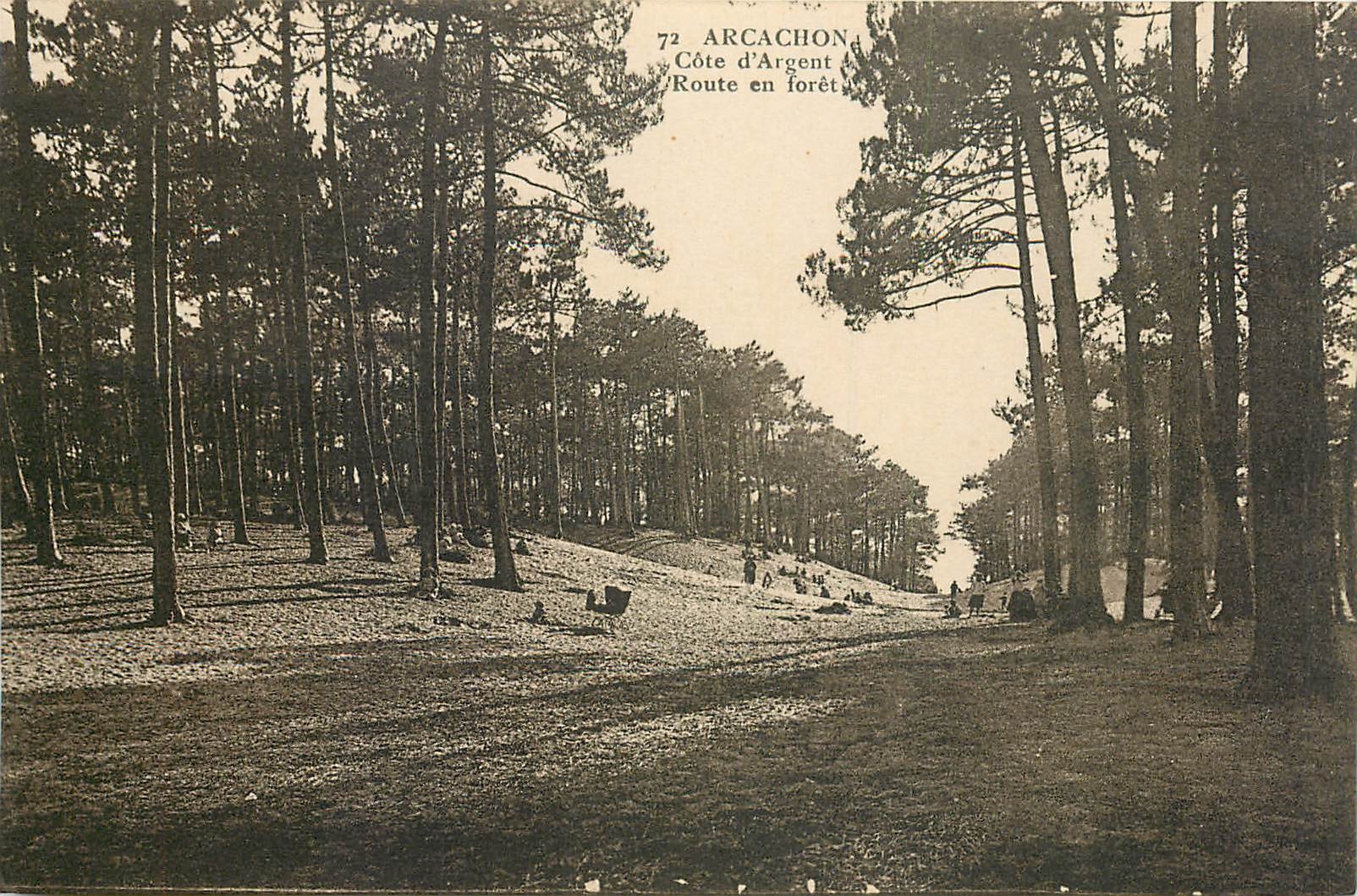 Arcachon — Côte d'Argent, Route en forêt — Éditeur non identifié, n° 72