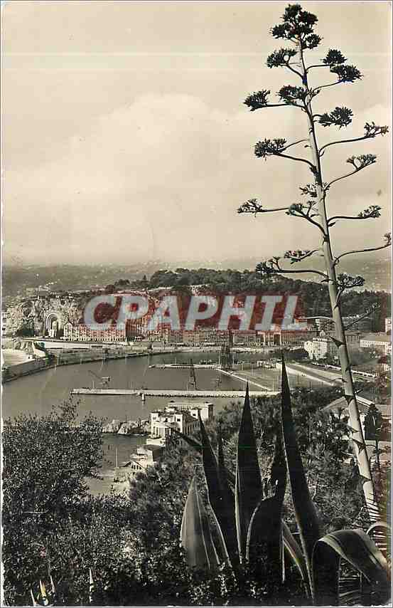 CPM Nice Vue generale sur le port et la colline du Chateau 