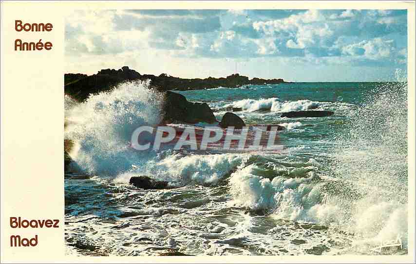 CPM Bonne Annee Bretagne