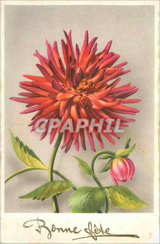 CPA Bonne Fete Fleurs