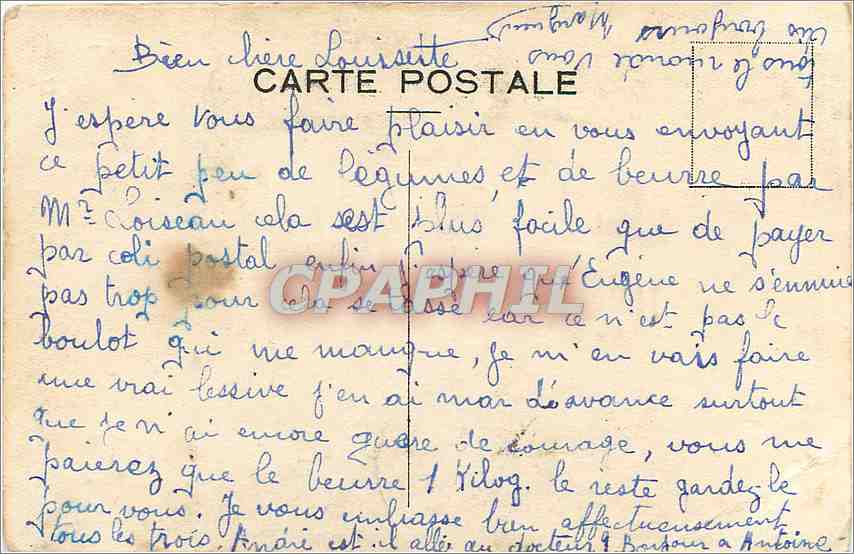 CPA Carte de Bonheur Chat Elephant Trefle Fer a cheval — Rückseite