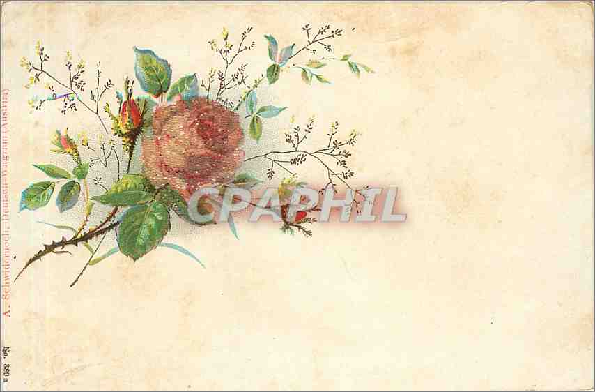 CPA Fleurs
