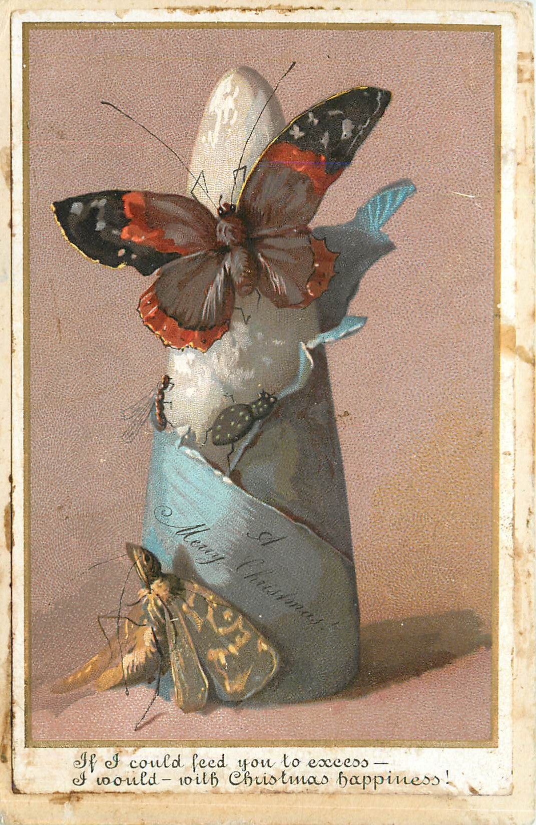 CPA Papillon insectes