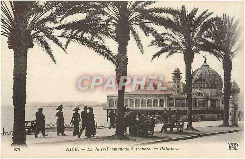 CPA Nice La Jetee Promenade a travers les Palmiers 