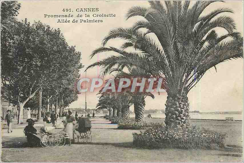 CPA Cannes Promenade de la Croisette Allee de Palmiers 