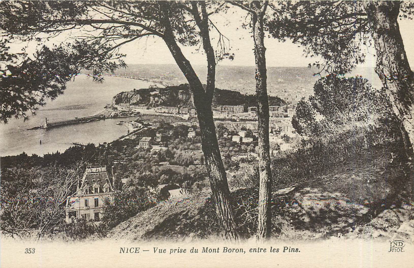 CPA Nice Vue prise du Mont Boron entre les Pins 