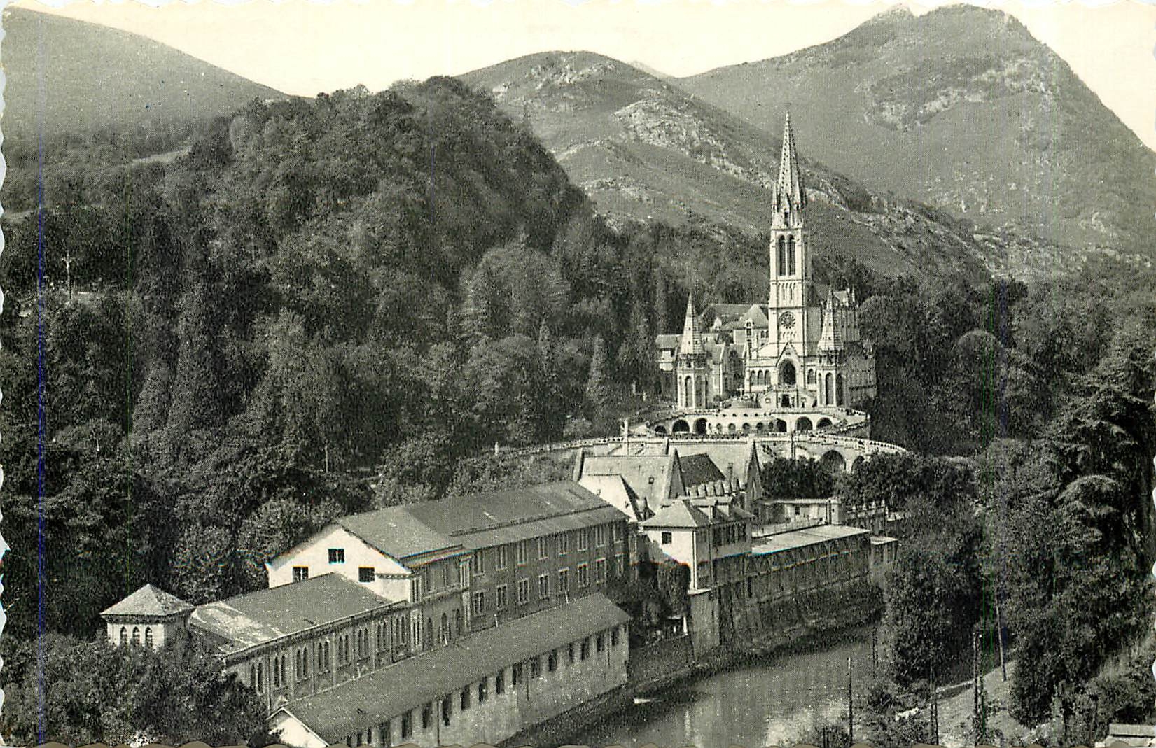 CPM Lourdes La Basilique et le Gave 