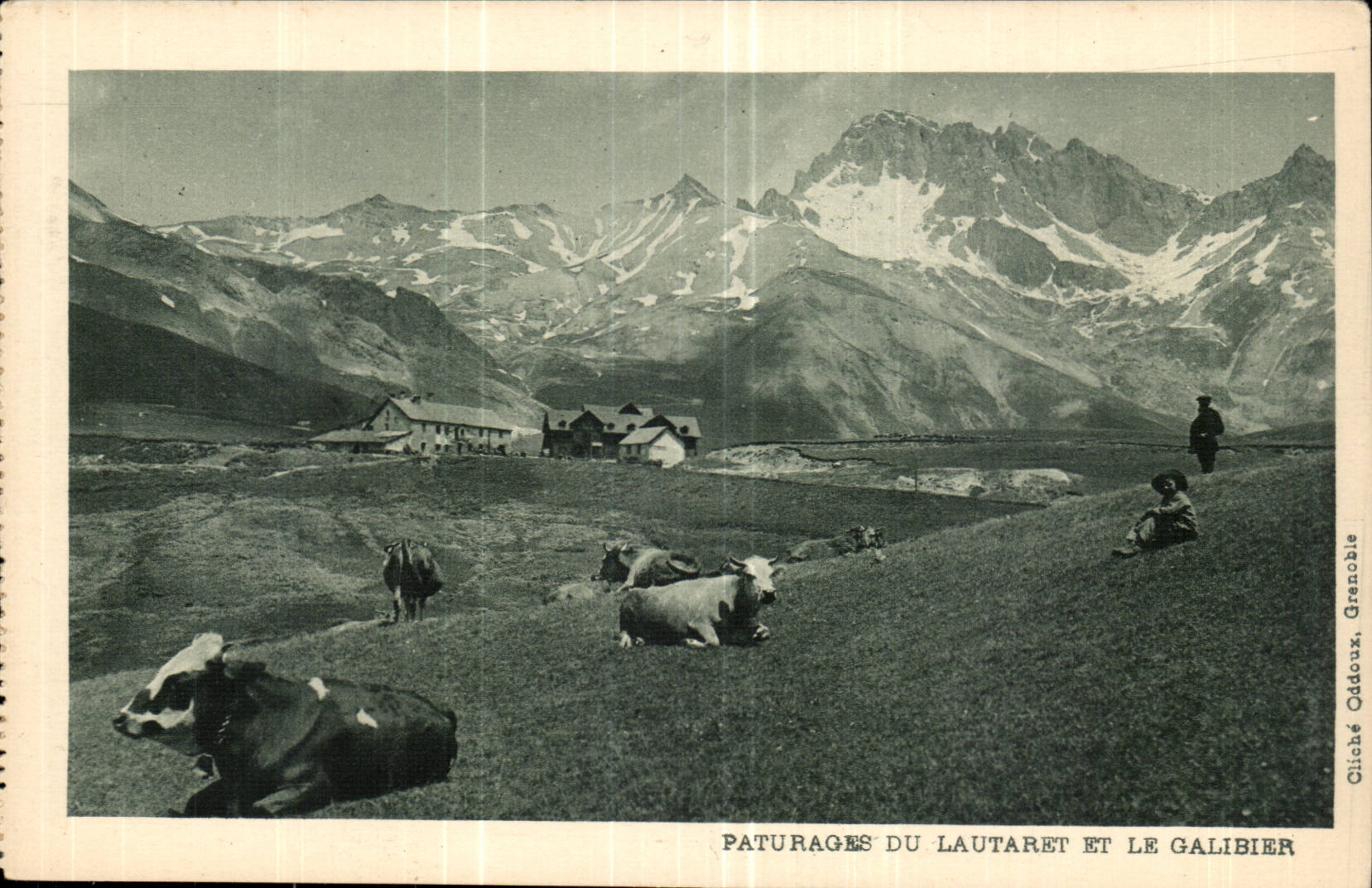 DAuphine CPA Paturage du Lautaret et le Galibier (vaches)