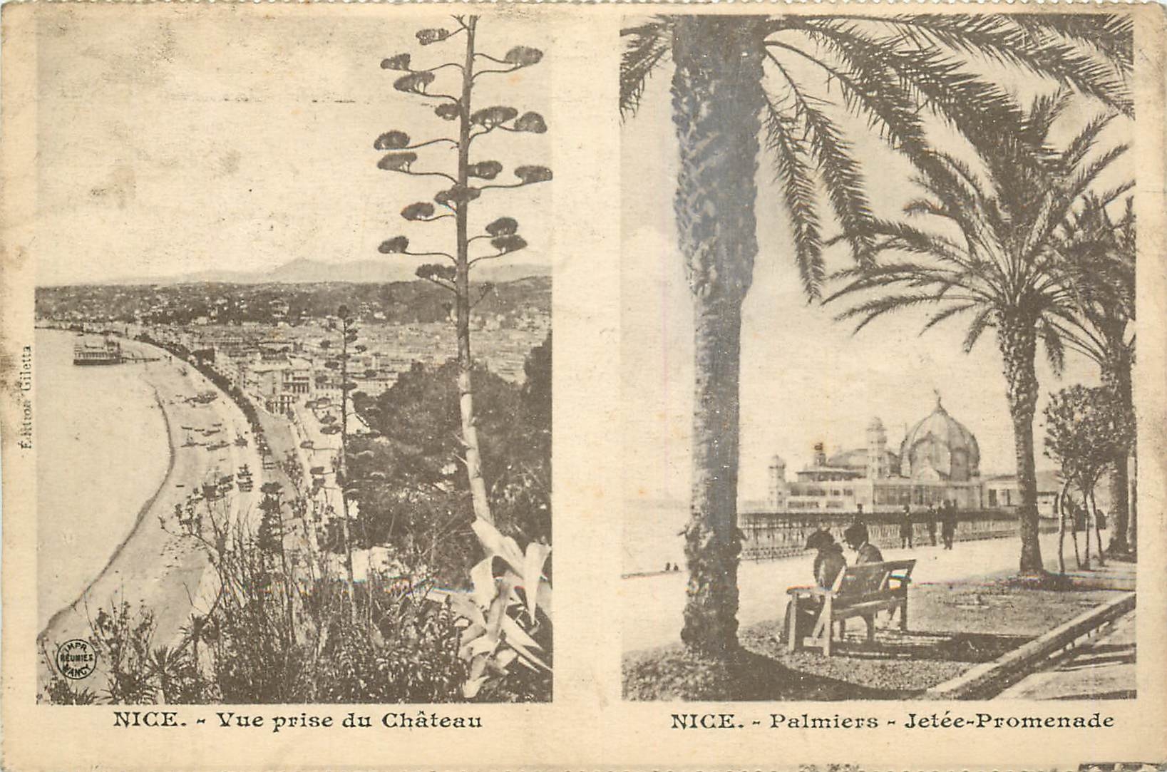 CPA Nice - Vue prise du Chateau Nice - Palmiers - Jetee-Promenade