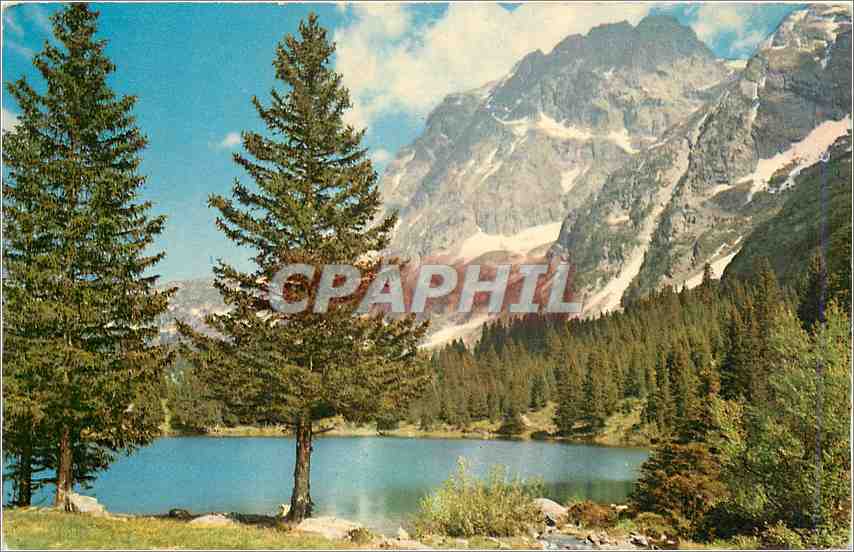 CPA Les Alpes en couleurs naturelles Lac a truites en haute montagne