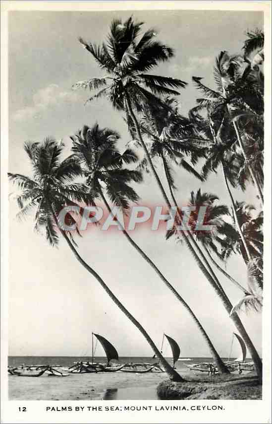 CPM Palms by the Sea Mount Lavinia Ceylon Bateaux