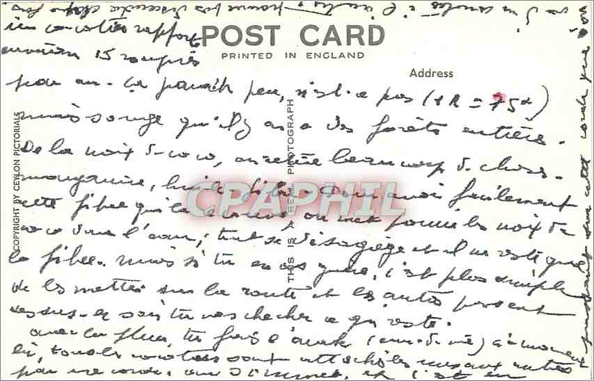 CPM Palms by the Sea Mount Lavinia Ceylon Bateaux — Rückseite