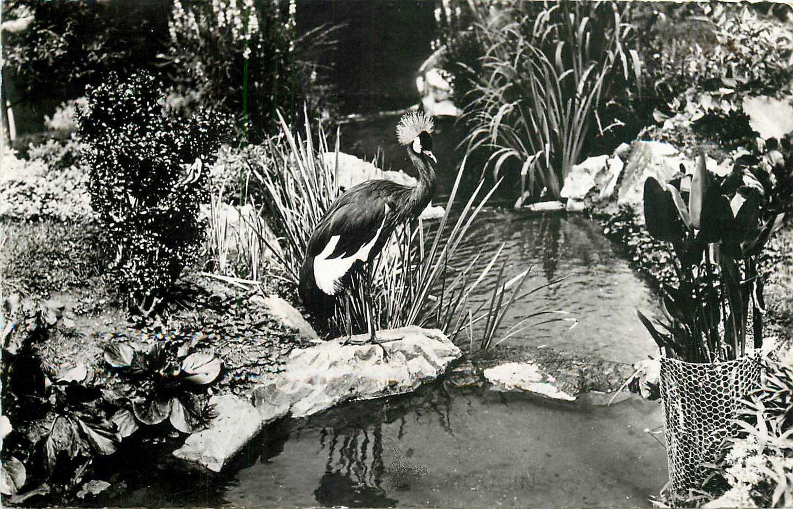 CPM Vichy Un Coin du parc des cygnes