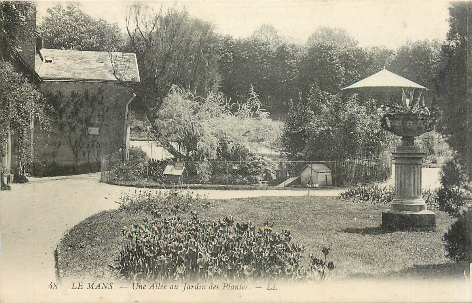 CPA Le Mans - Une Allee au Jardin des Plantes