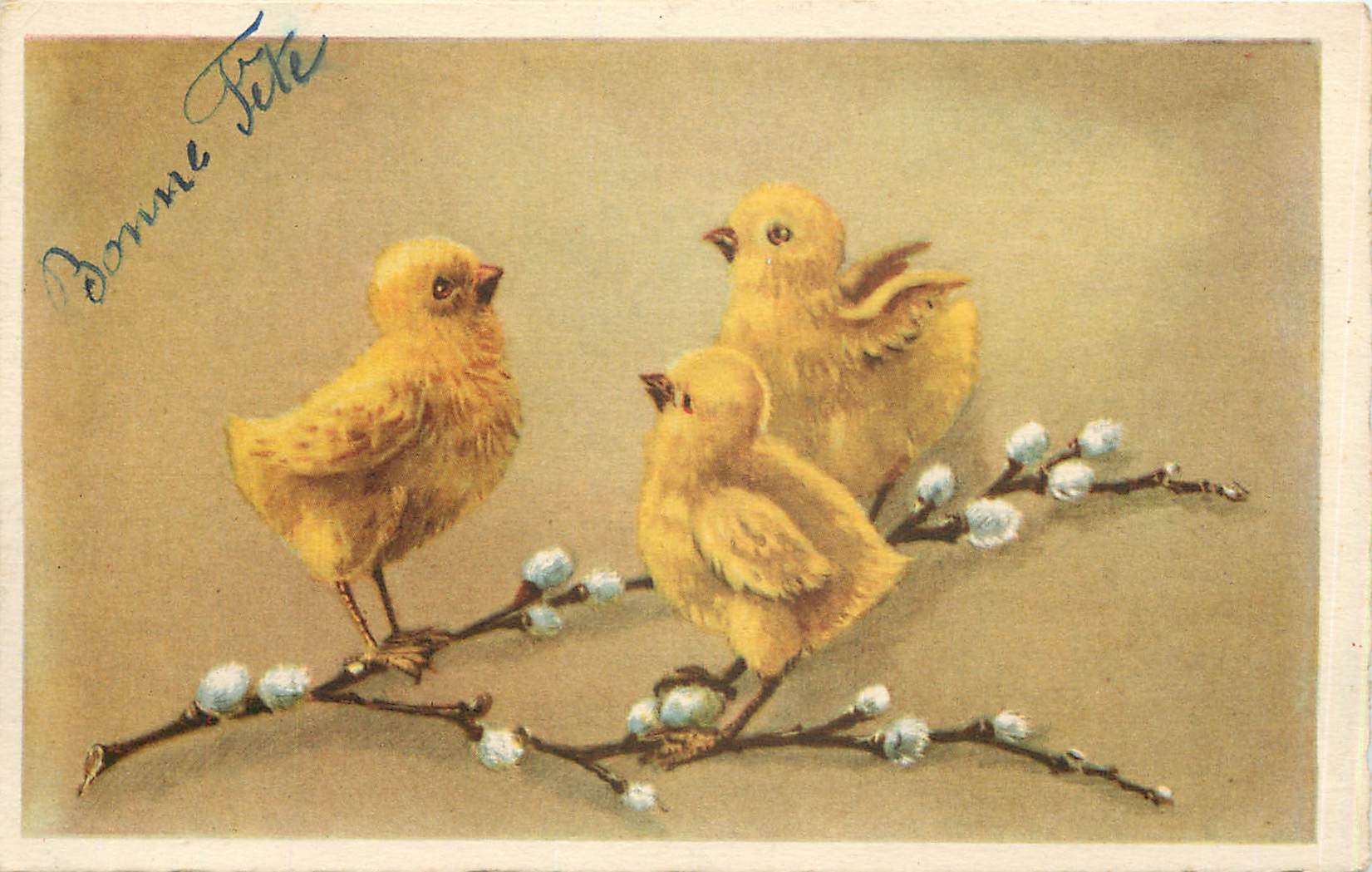CPA Bonne Fete Poussins