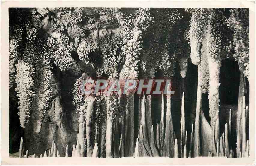 CPM Les Grottes de Gargas Salle Norbert Casteret Floraison et larmes des cavernes