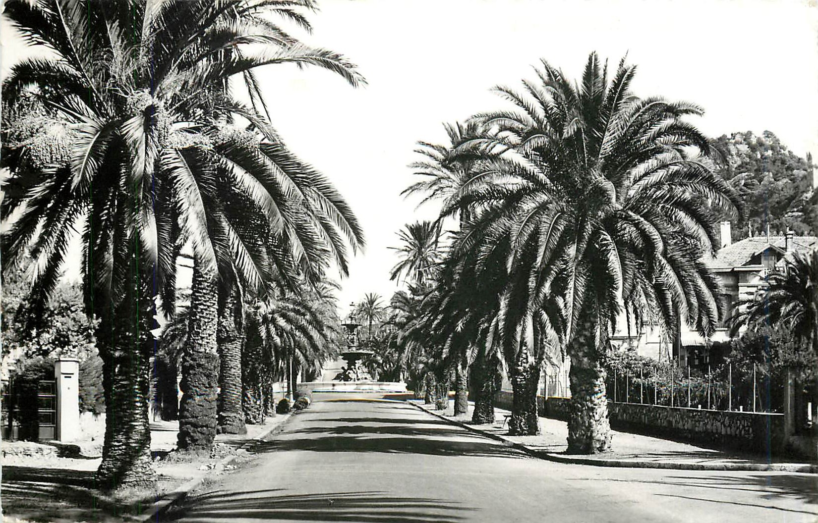 CPM Hyeres-les-Palmiers Boulevard Alexis Godillot et la Fontaine