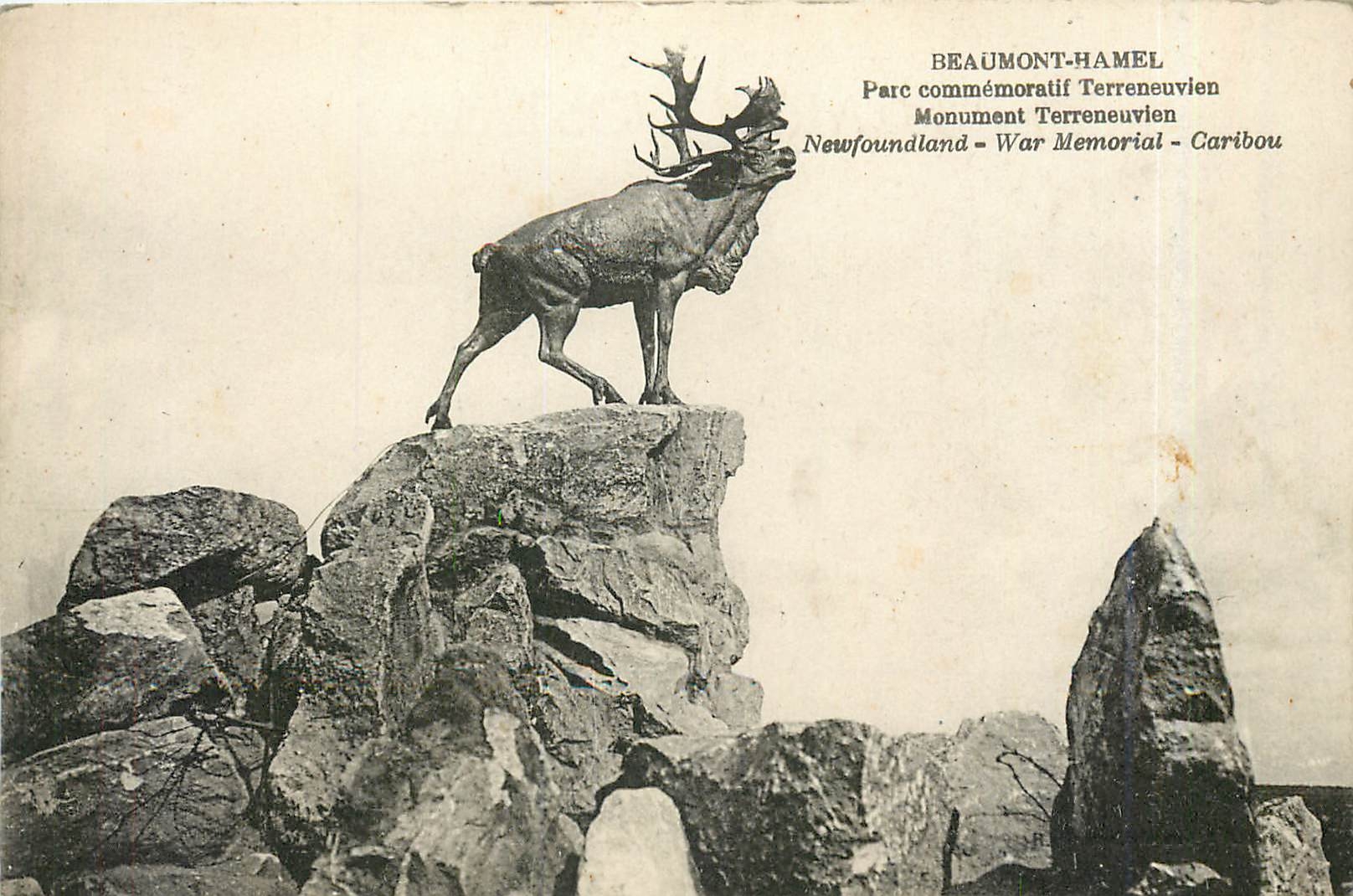 CPA Beaumont-Hamel Parc commemoratif Terreneuvien Monument Terreneuvien Terre Neuve Cerf
