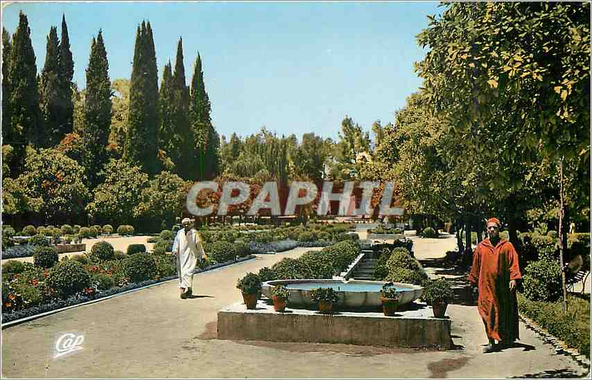 CPM Fes - Entree du Jardin Bou Jeloud