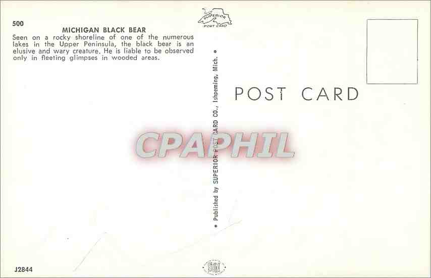 CPA Michigan Black Bear — Back