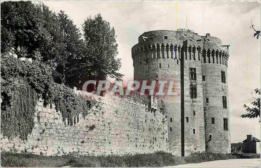 CPM Dinan Chateau de la Duchesse Anne