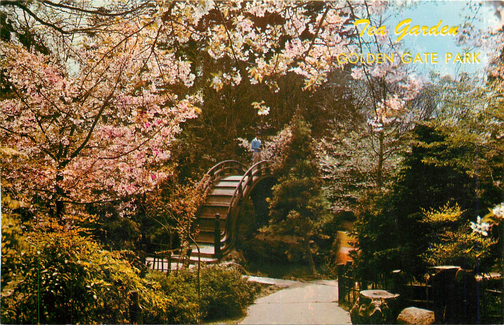 CPM Japanese Tea Garden in Golden Gate Park San Francisco