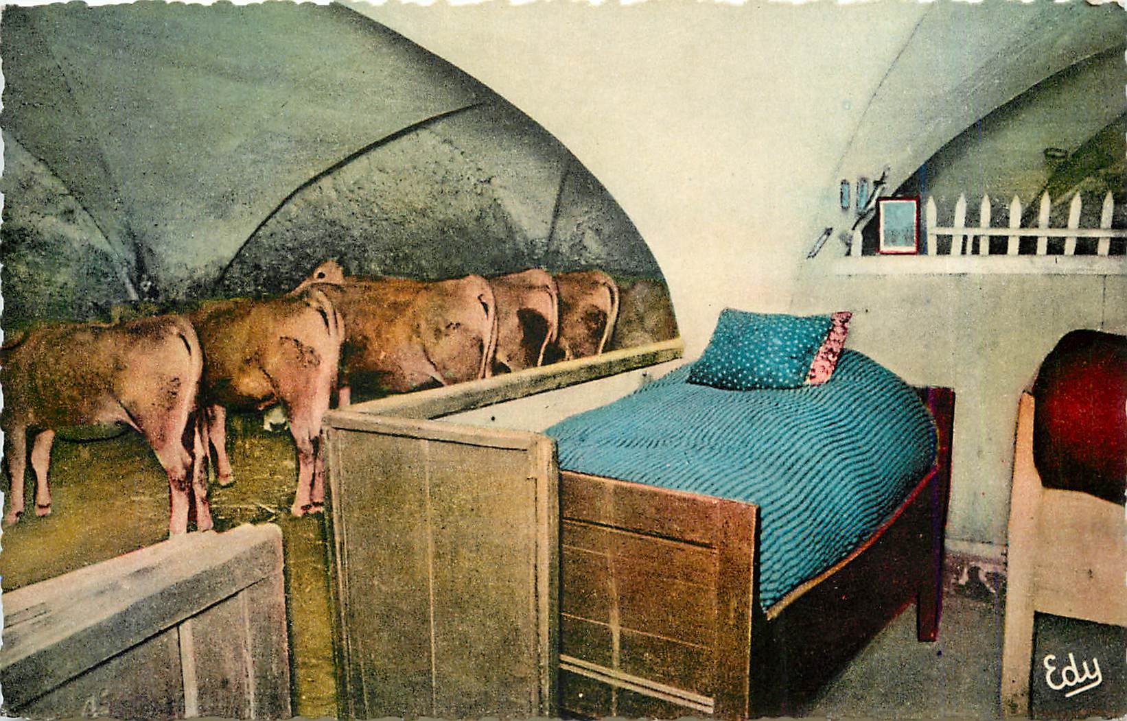CPM Interieur de Haute-Montagne l'hiver Vaches