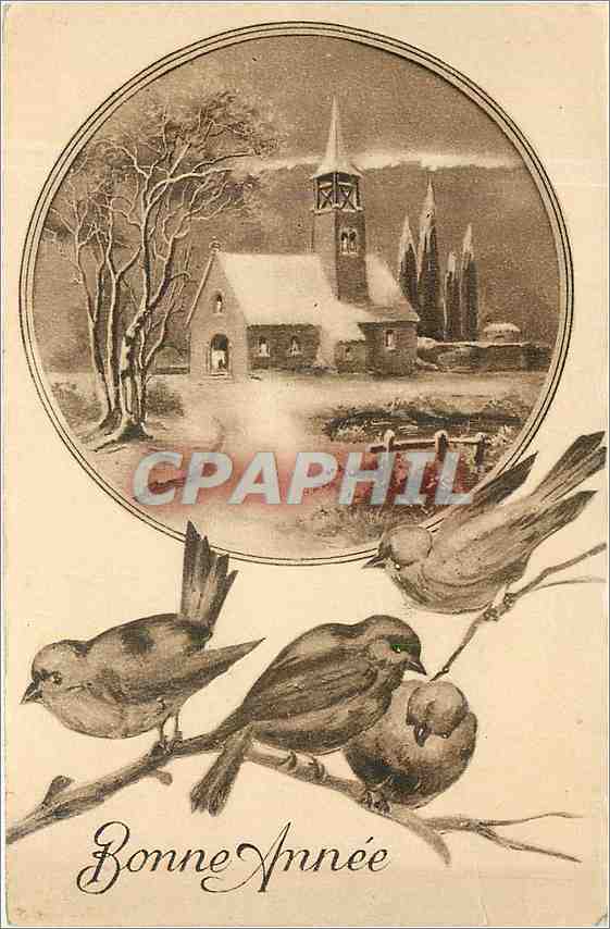 CPA Bonne Annee Oiseaux