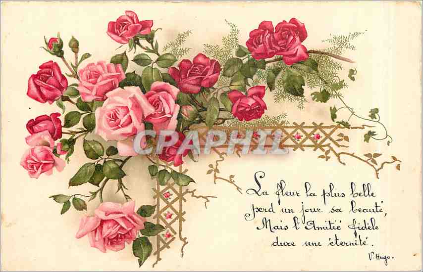 CPA La Fleur la plus belle perd un jour sa beaute Mais l'Amitie fidele dure une eternite Fleurs