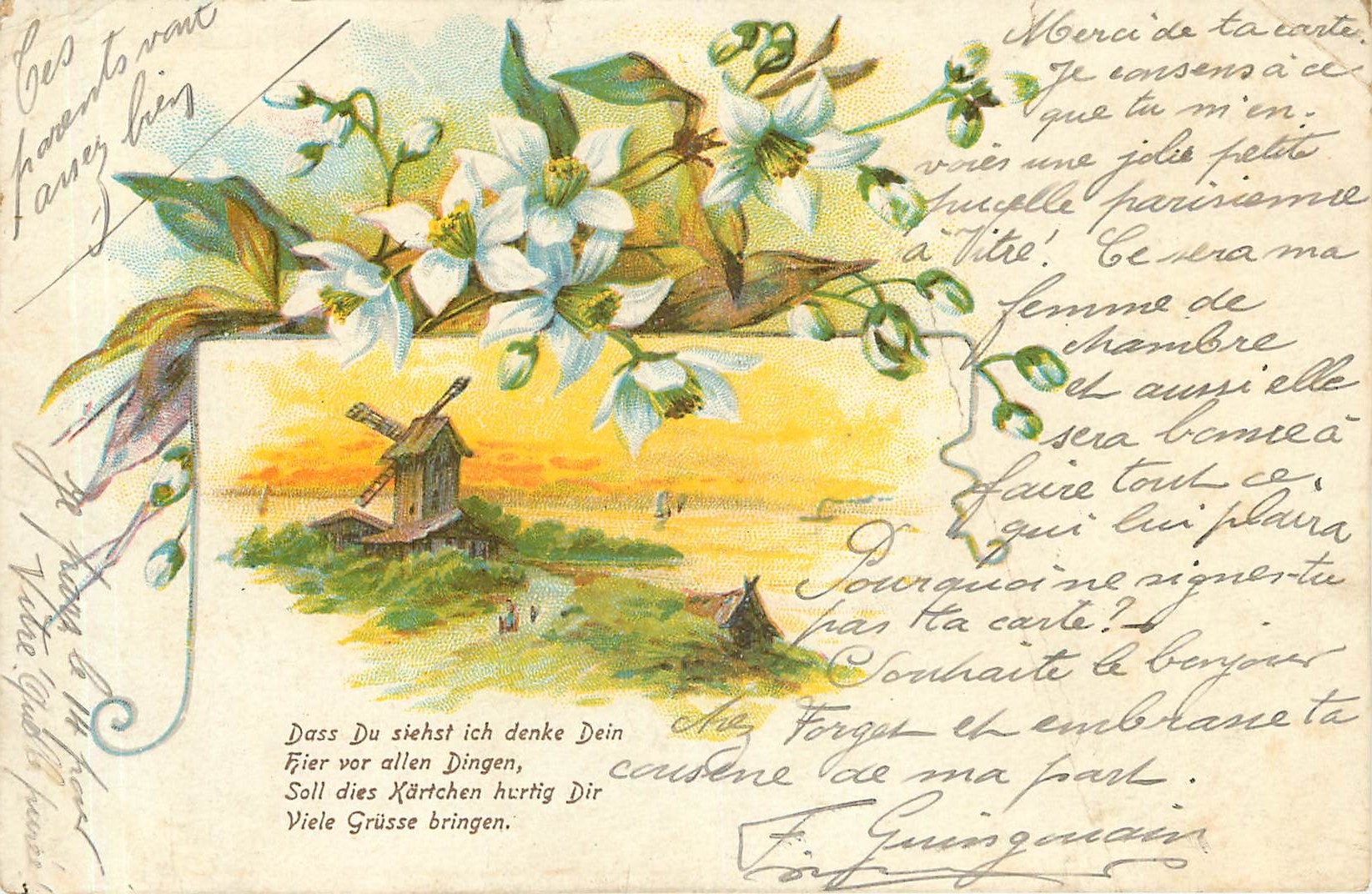 Moulin à vent et fleurs blanches — carte postale multilingue — éditeur Chez M. Damoy