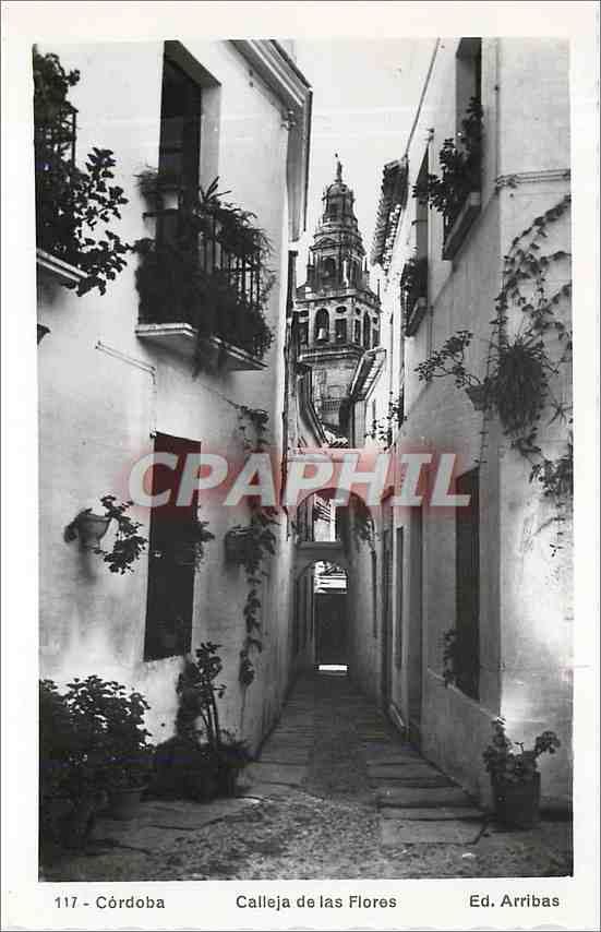 CPM Cordoba Calleja de las Flores