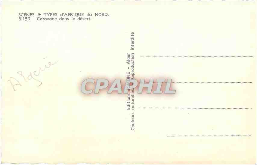 CPA Scenes & Types d'Afrique du Nord Caravane dans le desert Chameaux — Verso