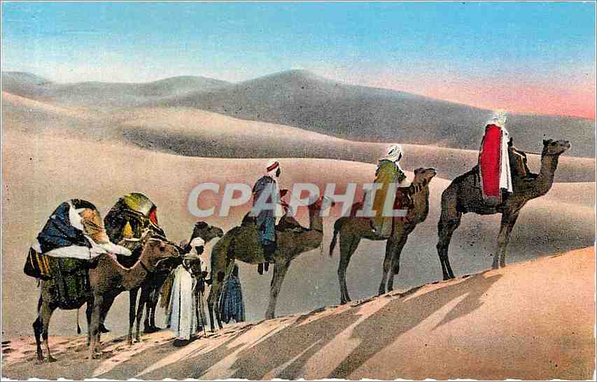 CPA Scenes & Types d'Afrique du Nord Une caravane dans les dunes du desert Chameaux