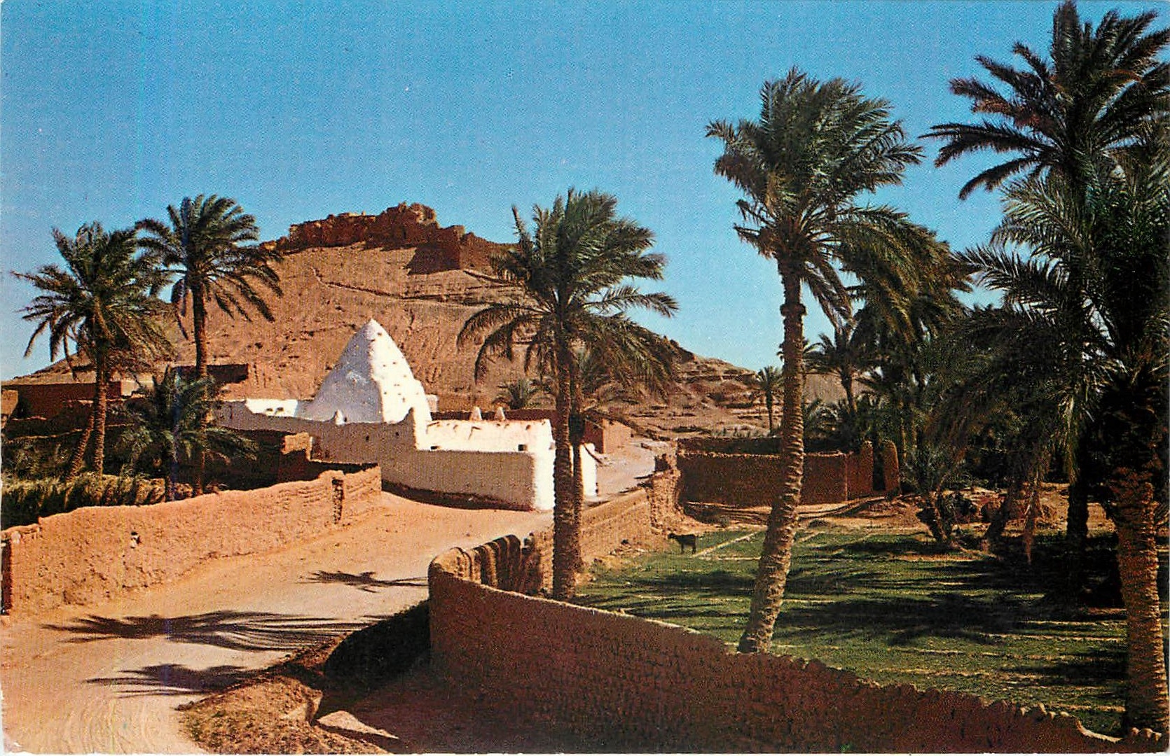 CPM El Golea Le vieux Ksar de l'ancienne Taourit