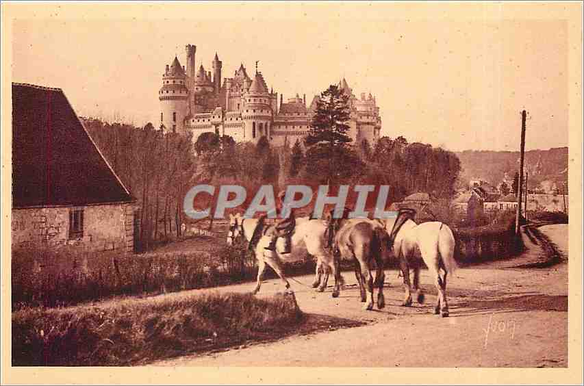 CPA Chateau de Pierrefonds Cote Est Chevaux Cheval