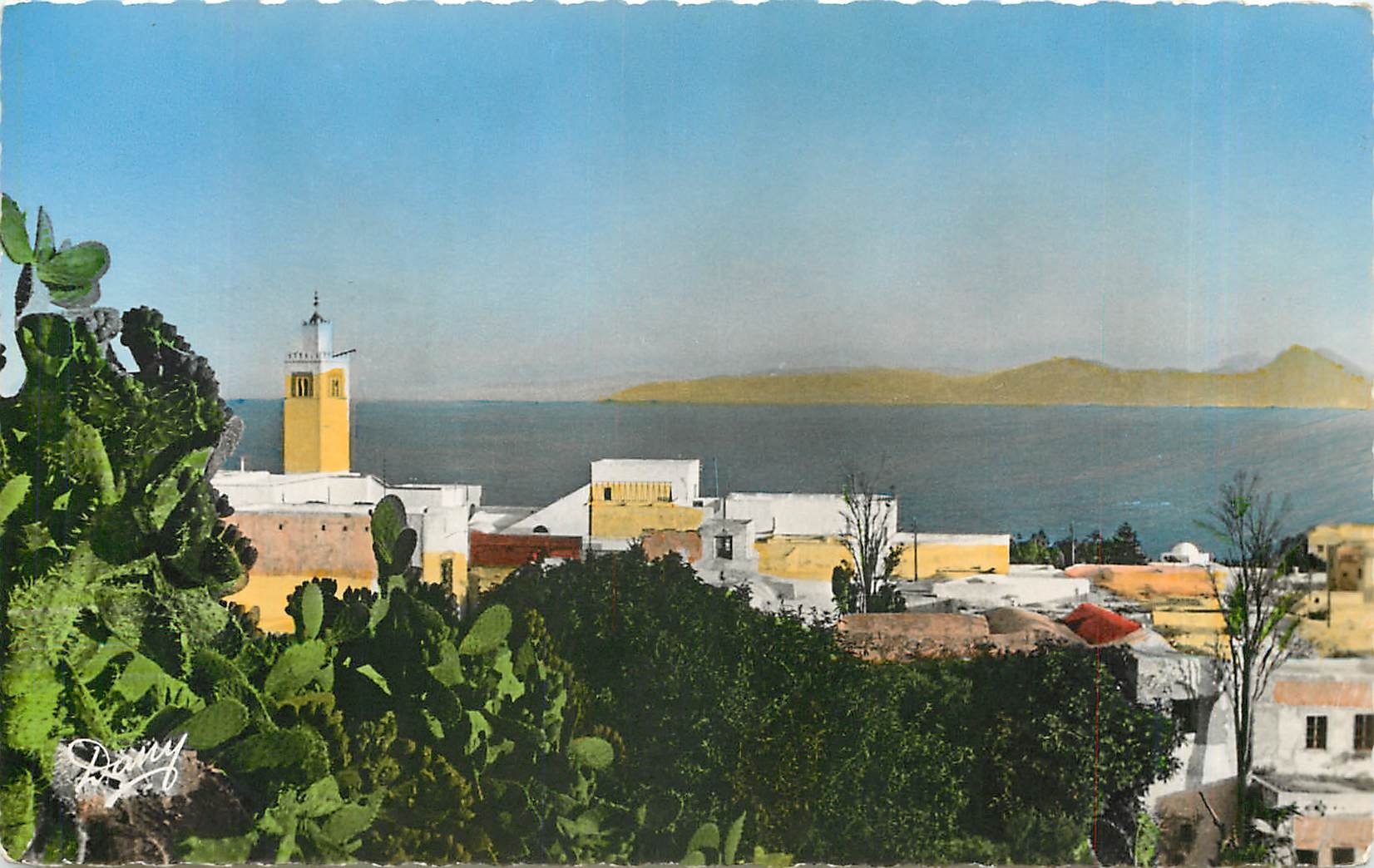 CPM Sidi Bou Said Tunisie Vue generale sur le Golfe 