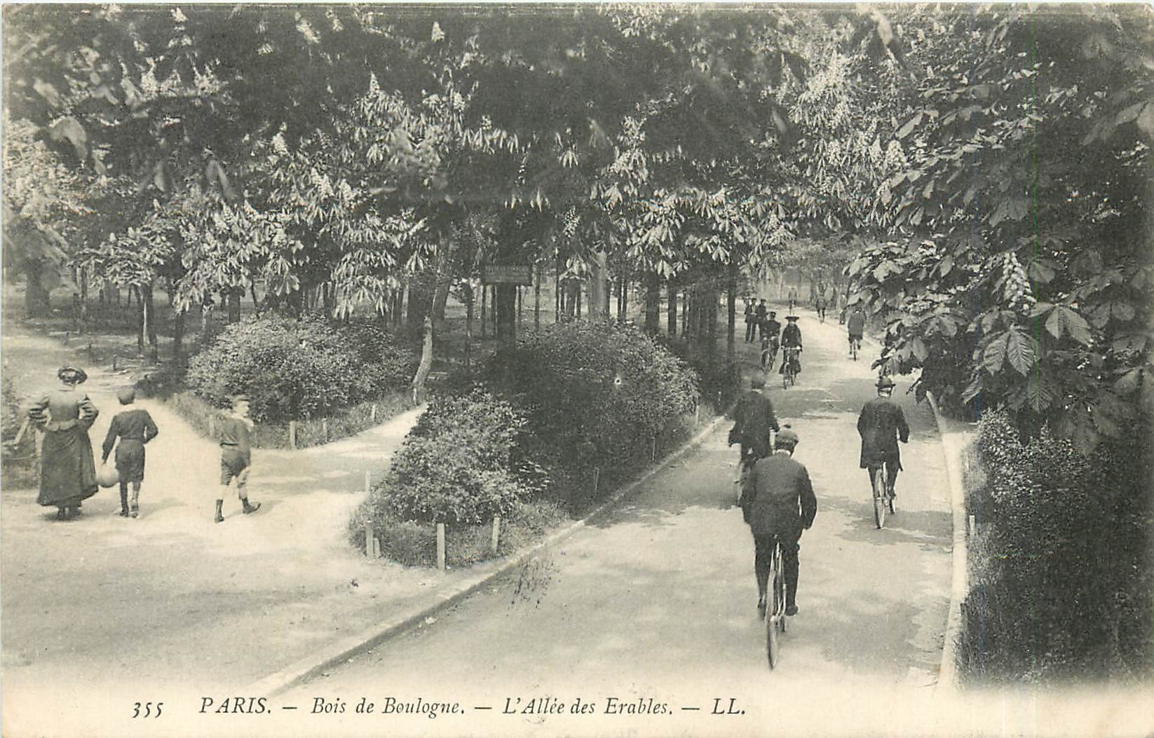 CPA Paris Bois de Boulogne L'Aillee des Erables Velo Cycle