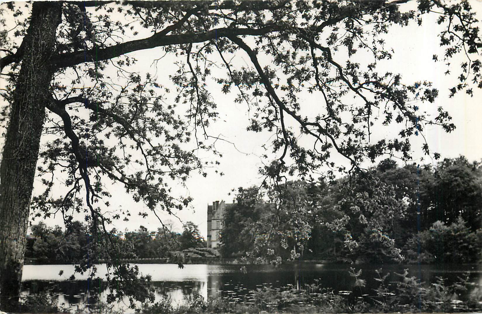 CPM Environs du Bourgneuf Mayenne Le Chateau de Launay Villiers 