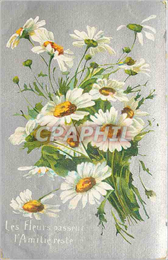 CPA Les Fleurs Passeur l'Amitie reste 
