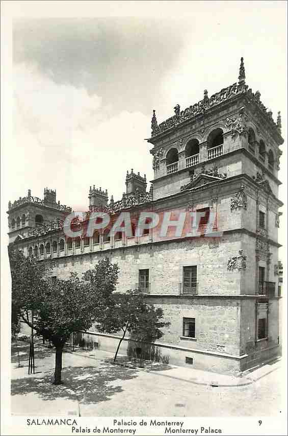 CPA Salamanca Palais de Monterrey 